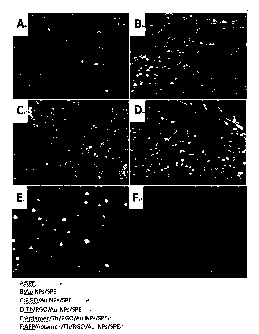 Method used for detecting alpha fetoprotein based on graphene, thionine, and nucleic acid aptamer