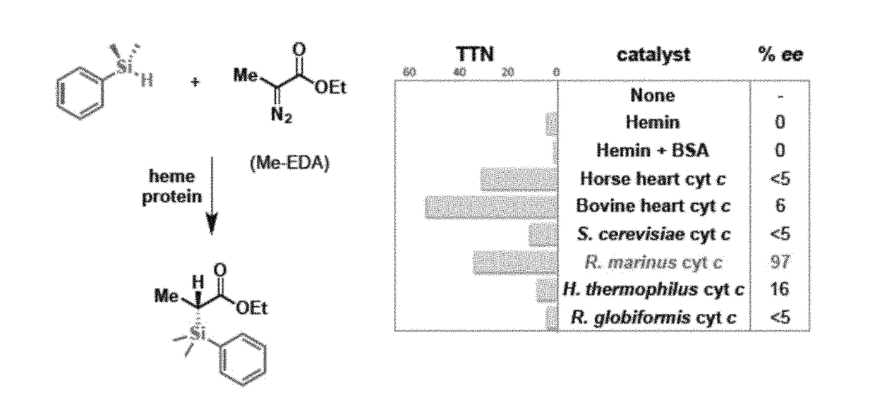 Heme Protein Catalysts for Carbon-Silicon Bond Formation In Vitro and In Vivo