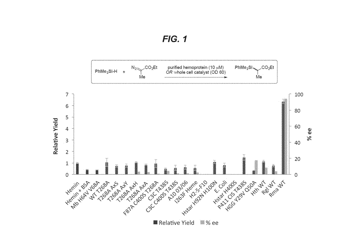 Heme Protein Catalysts for Carbon-Silicon Bond Formation In Vitro and In Vivo