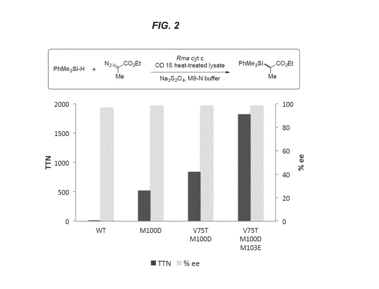 Heme Protein Catalysts for Carbon-Silicon Bond Formation In Vitro and In Vivo