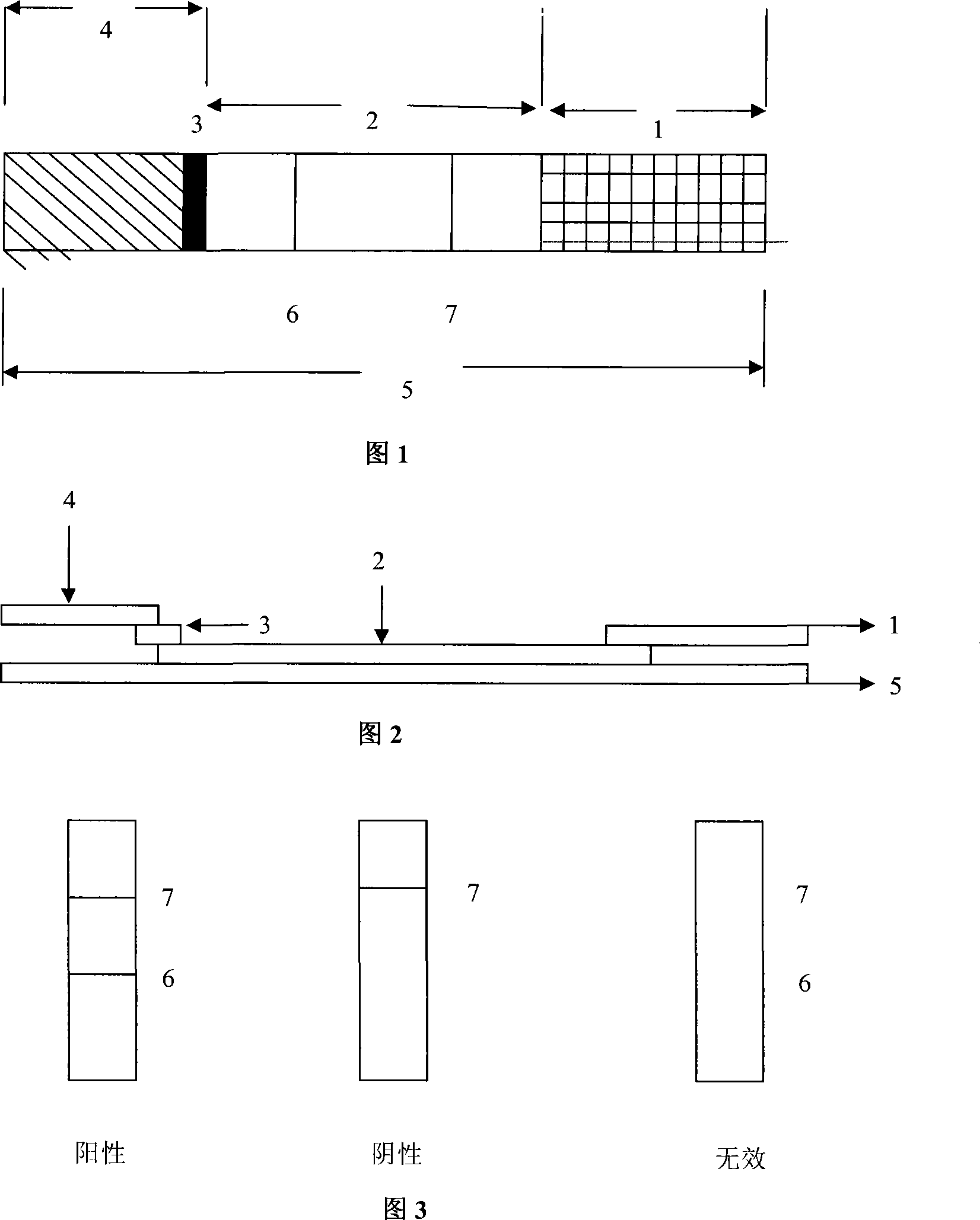 Test paper for rapidly detecting hog cholera antibody and method for making same