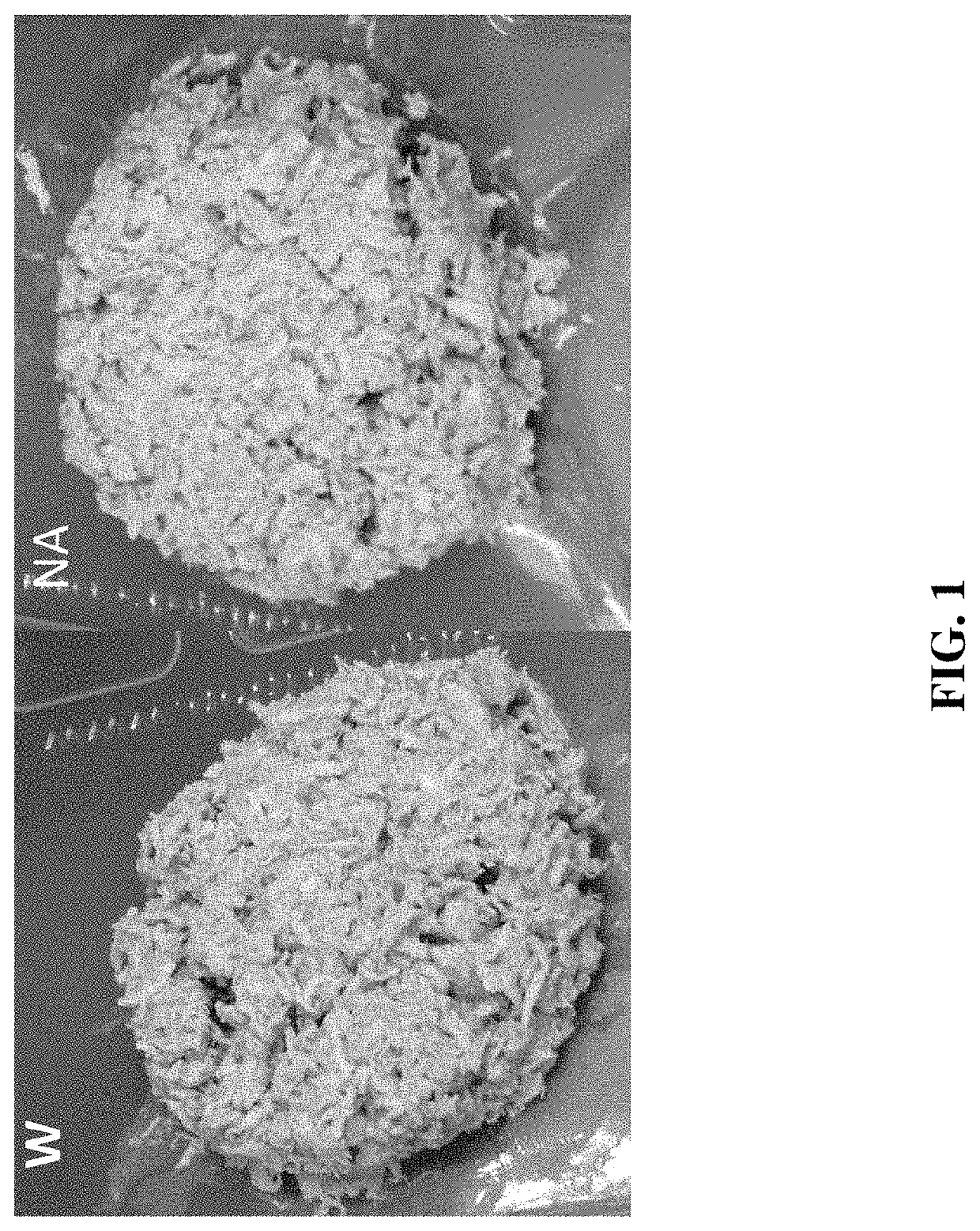 Compositions and methods of preserving meat substitutes