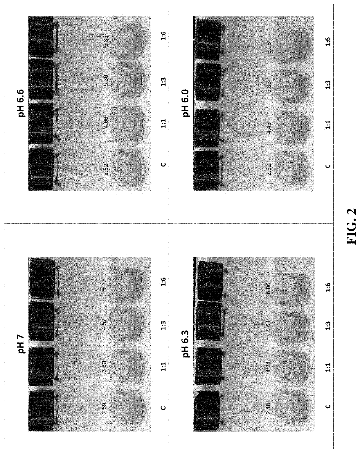 Compositions and methods of preserving meat substitutes