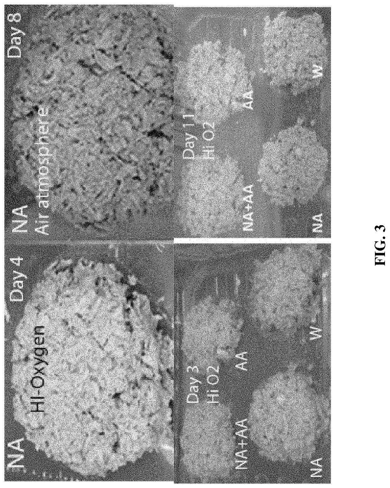 Compositions and methods of preserving meat substitutes