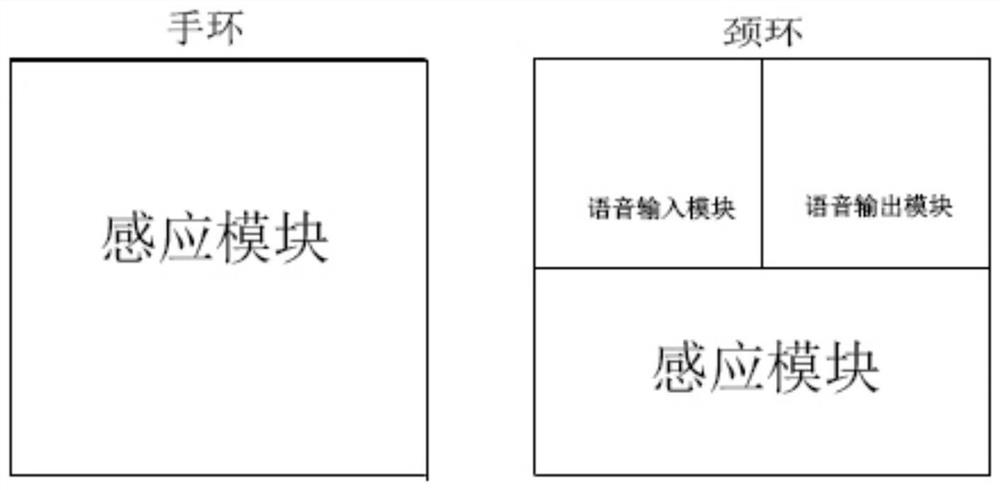 Health management device and method based on gene detection