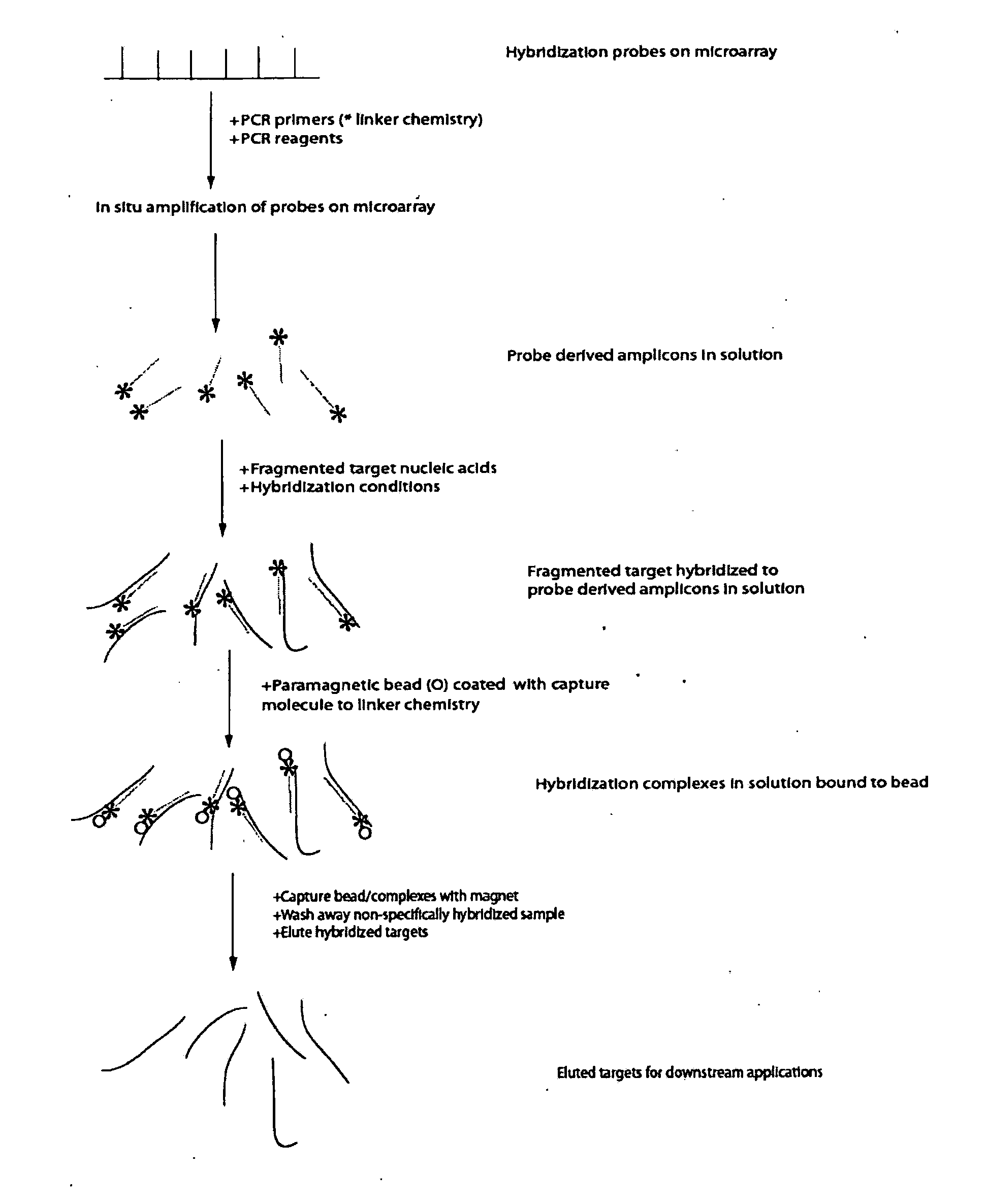 Methods and systems for solution based sequence enrichment