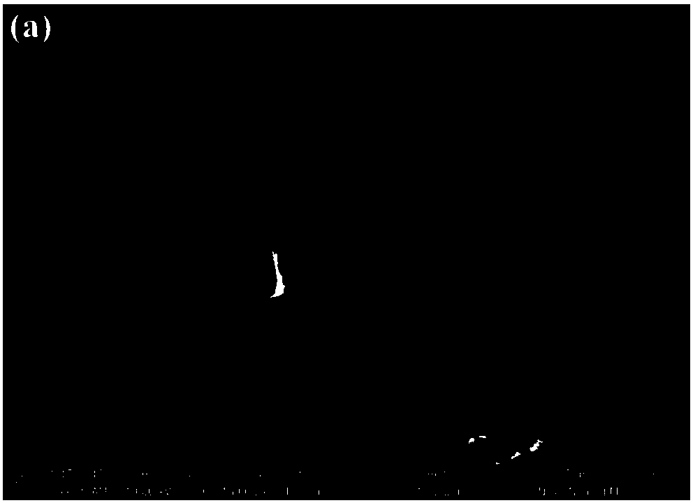 (BiO)2CO3-BiO2-x composite photocatalyst and preparation and application methods thereof