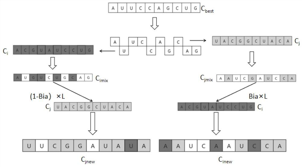 Greenhouse temperature PID control method of RNA crossover symbiotic biological algorithm