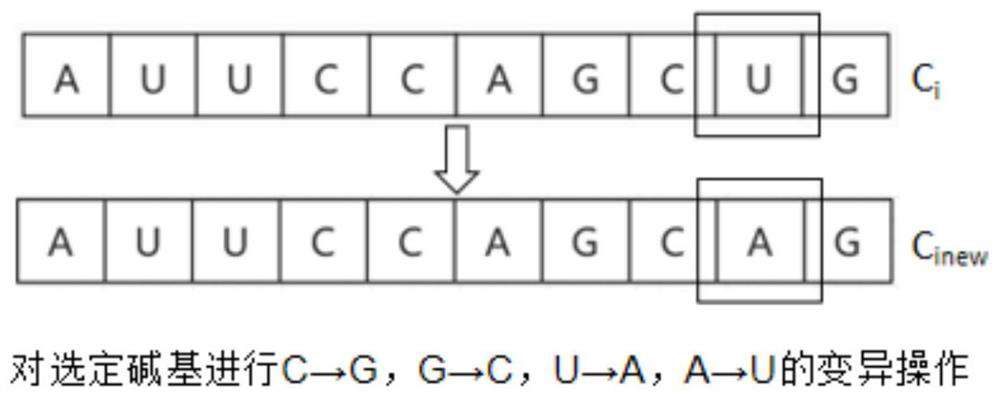 Greenhouse temperature PID control method of RNA crossover symbiotic biological algorithm