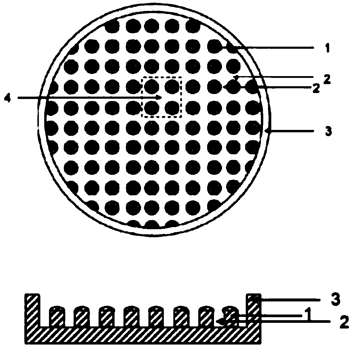 Method for building hiPSCs source autism-like model