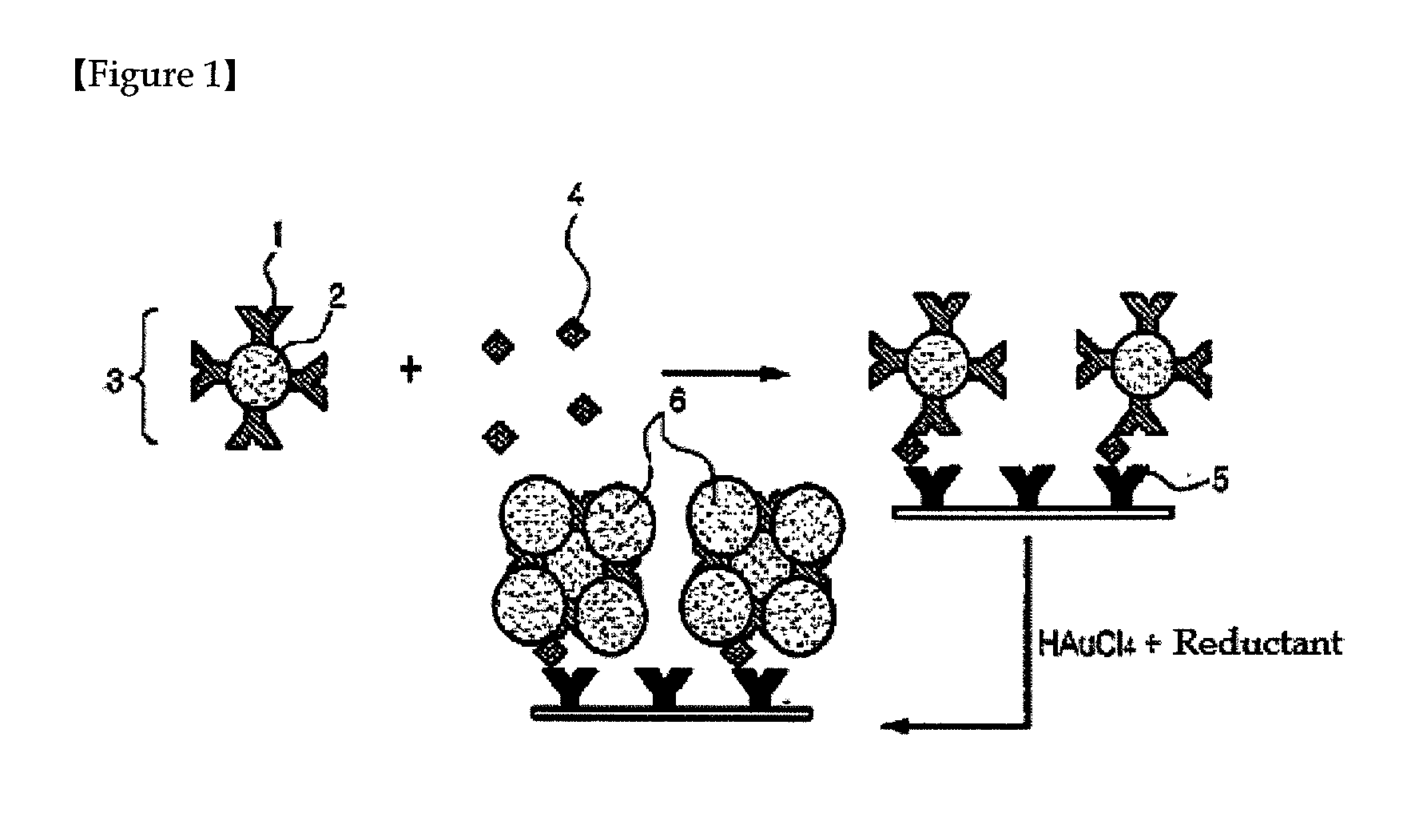 Method for signal amplification during lateral-flow analysis