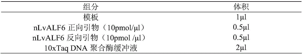 Anti-WSSV (white spot syndrome virus) candidate molecular marker from anti-lipopolysaccharide factor gene (nLvALF6) of litopenaeus vannamei and application of anti-WSSV candidate molecular marker