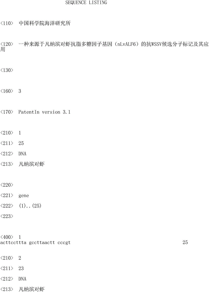 Anti-WSSV (white spot syndrome virus) candidate molecular marker from anti-lipopolysaccharide factor gene (nLvALF6) of litopenaeus vannamei and application of anti-WSSV candidate molecular marker