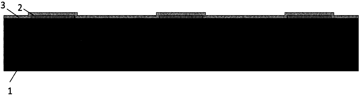 Graphene detector and preparation method thereof