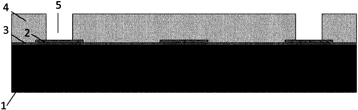 Graphene detector and preparation method thereof