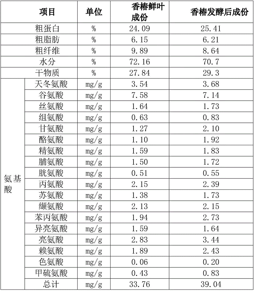 Aromatic Chinese toon biological feed and preparation method thereof