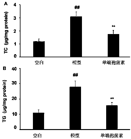 Application of trichothecin in preparing drug for preventing or treating hyperlipidemia