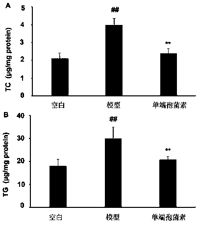 Application of trichothecin in preparing drug for preventing or treating hyperlipidemia