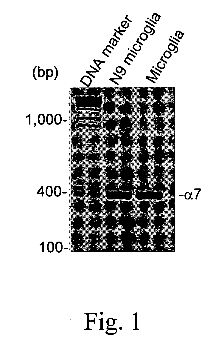 Modulation of Microglial by Nicotinic Medications