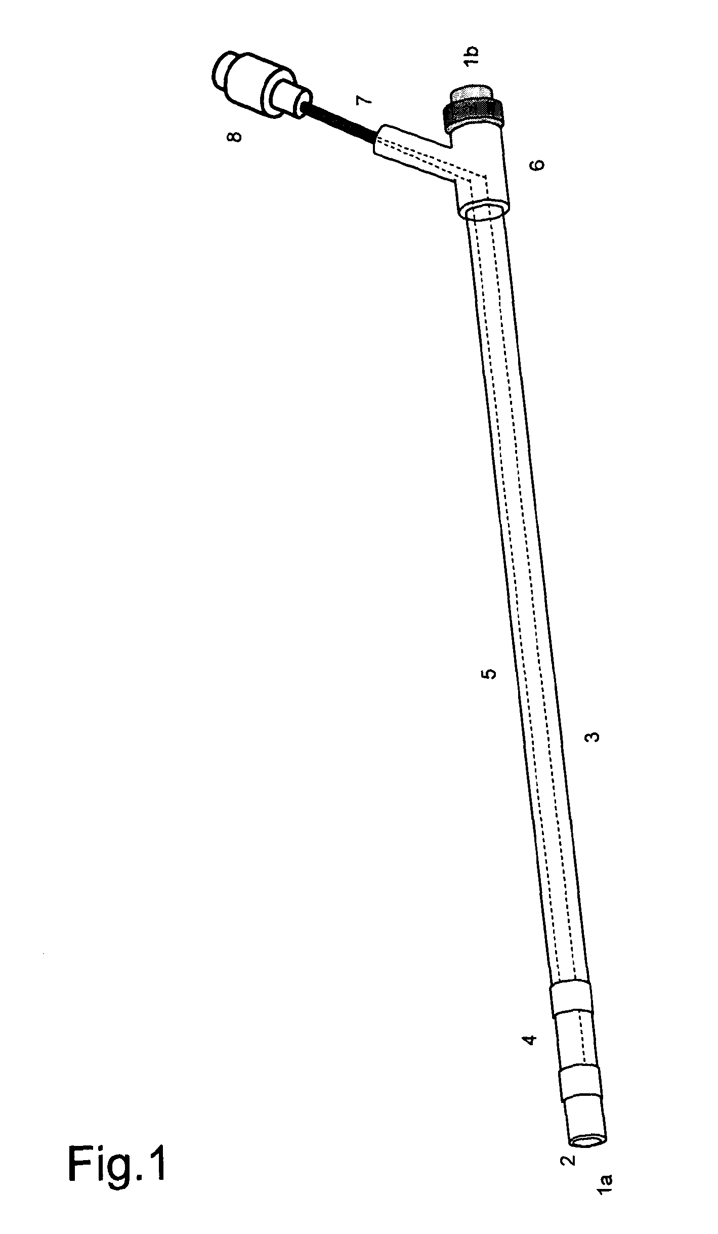 Multi-functional catheter