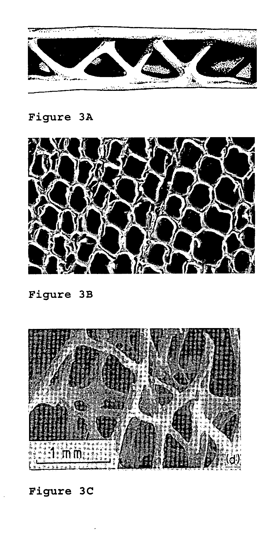 Hybrid natural-fiber composites with cellular skeletal structures