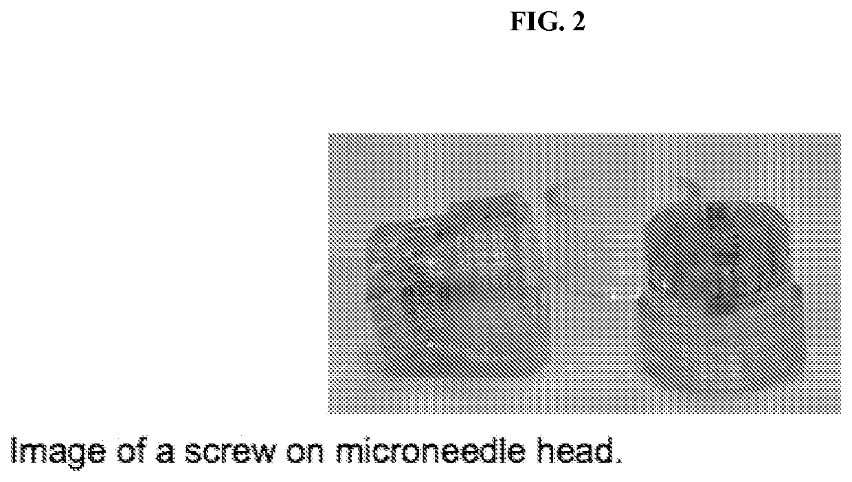 Direct application system and method for the delivery of bioactive compositions and formulations