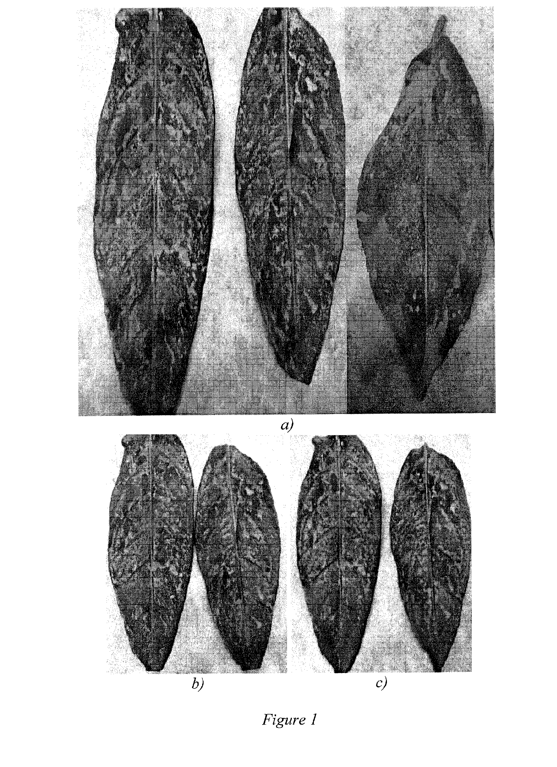 Engineered particulate systems for controlled release of pesticides and repellants