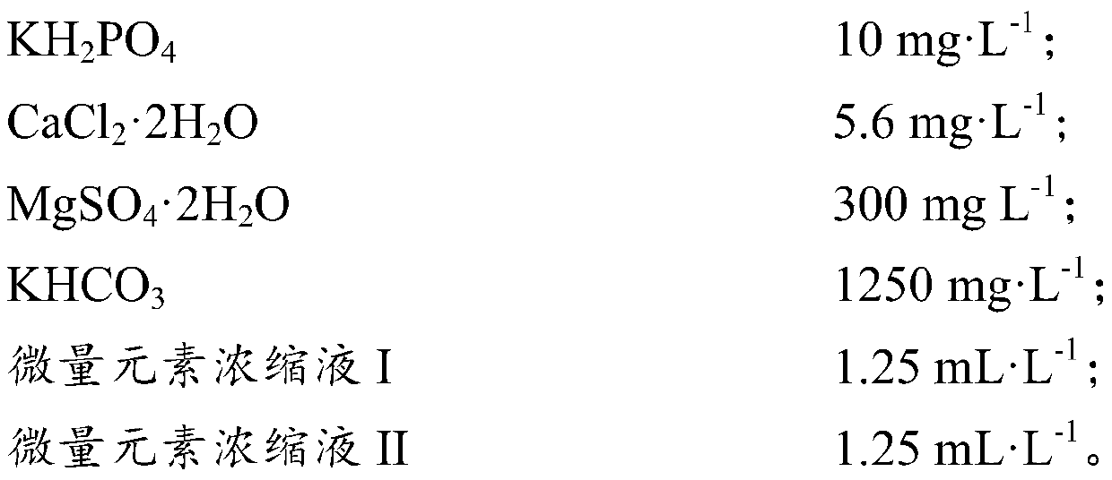 Method for culturing anaerobic ammonia oxidation granular sludge resistant to high-concentration spiramycin