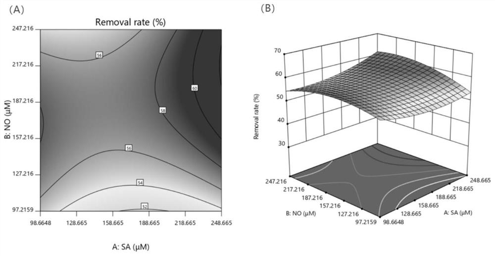 Response curved surface-based optimization method for repairing copper-polluted water body by using scindapsus aureus