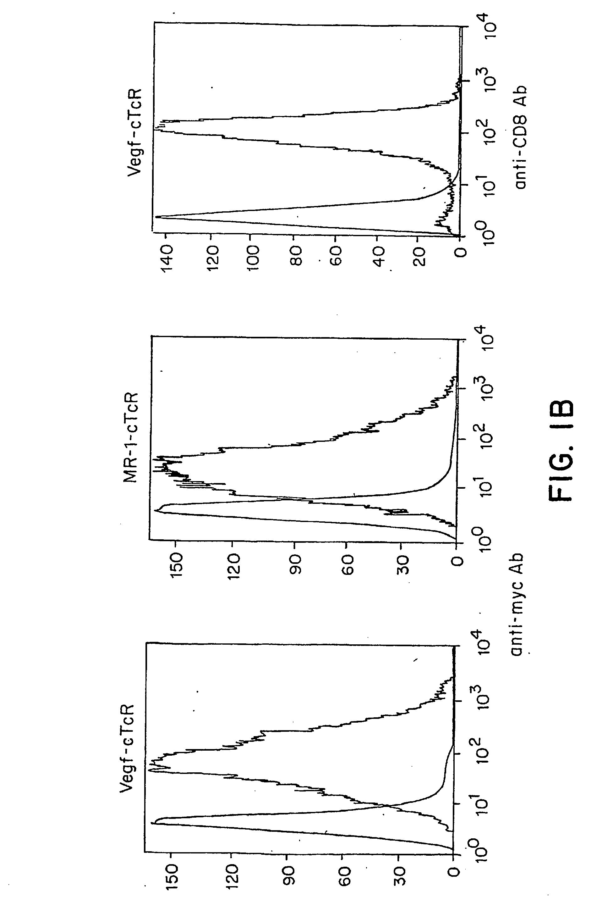 Modified t lymphocytes and uses therefor