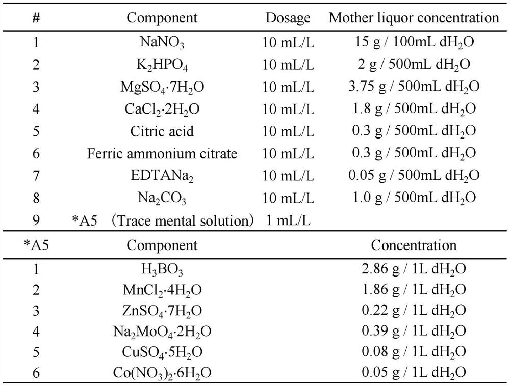 Novel chlorella-loaded coconut shell activated carbon adsorbent as well as preparation method and application thereof