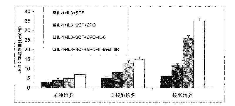 Method for in vitro amplification of hemopoietic stem cells and precursor cells