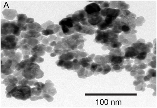 A kind of preparation method of antibacterial protein peptide-nanoparticle complex