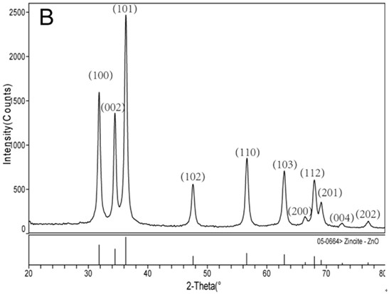 A kind of preparation method of antibacterial protein peptide-nanoparticle complex