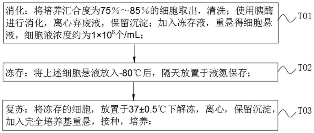 Serum-free cell cryopreservation solution as well as preparation method and use method thereof