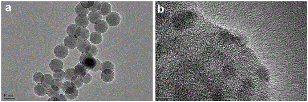 Porous Se-SiO2 nanoparticle as well as preparation method and application thereof