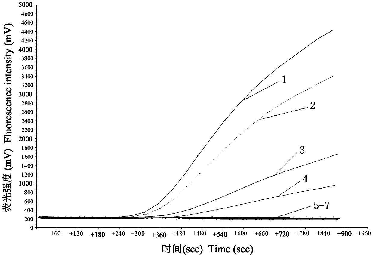 Reagent, detection method and application for detecting deer epidemic hemorrhagic fever virus