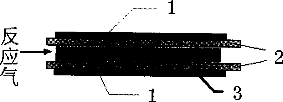 Chemical ioning method based on dielectric blocking discharge and mass ion source