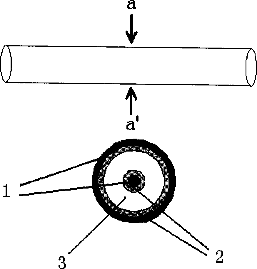 Chemical ioning method based on dielectric blocking discharge and mass ion source