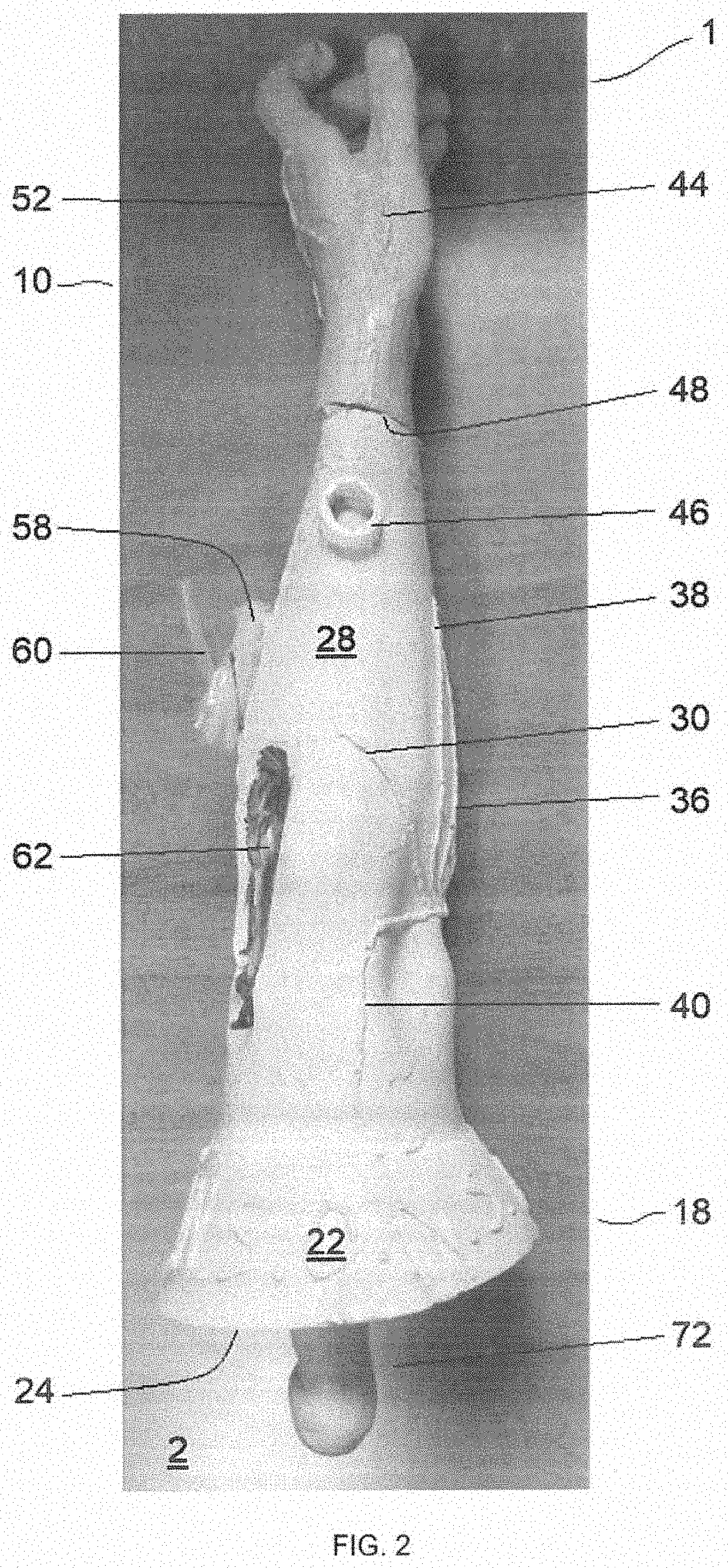 Portable multifunctional anatomical model for medical training