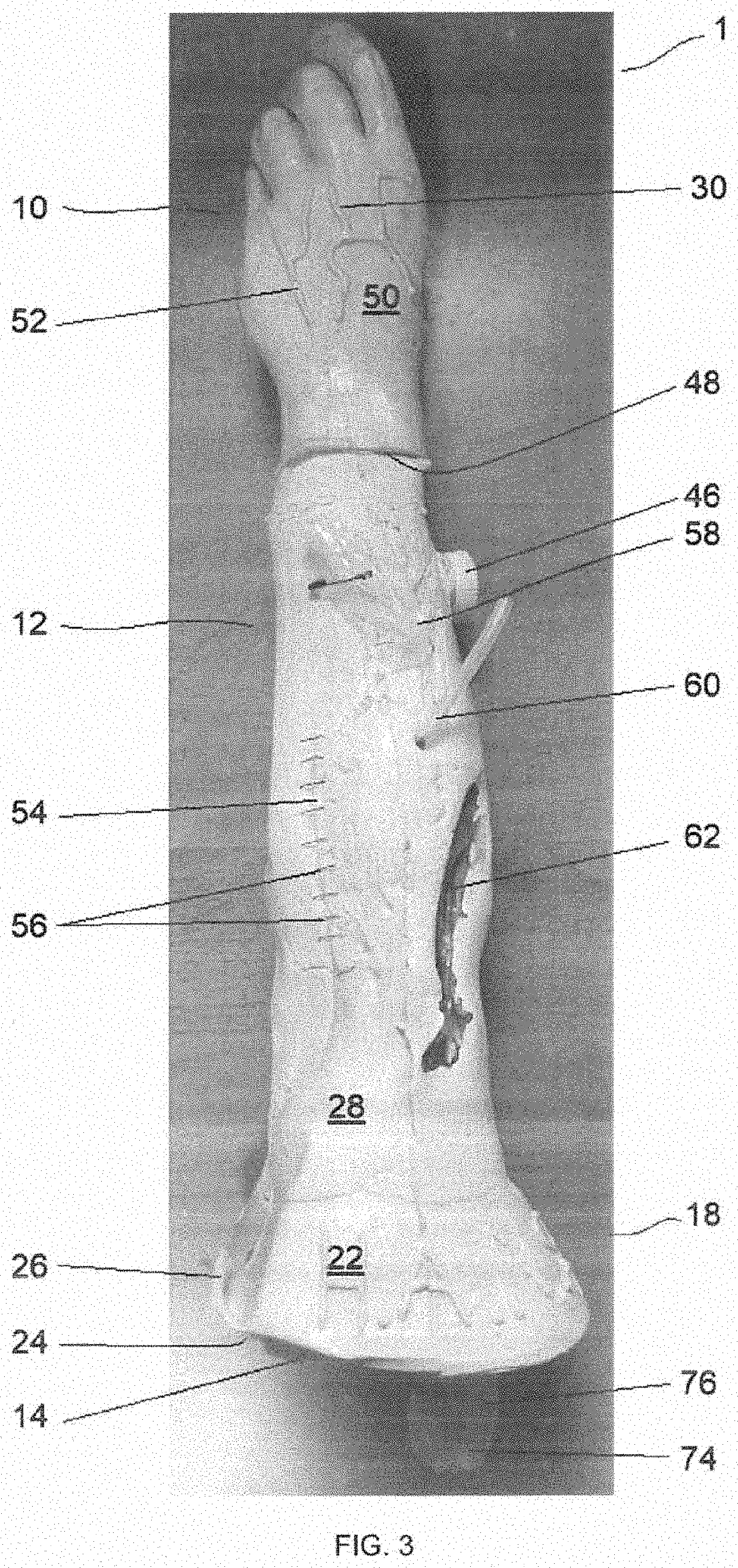 Portable multifunctional anatomical model for medical training