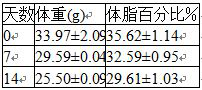 Functional food as well as preparation method and application thereof