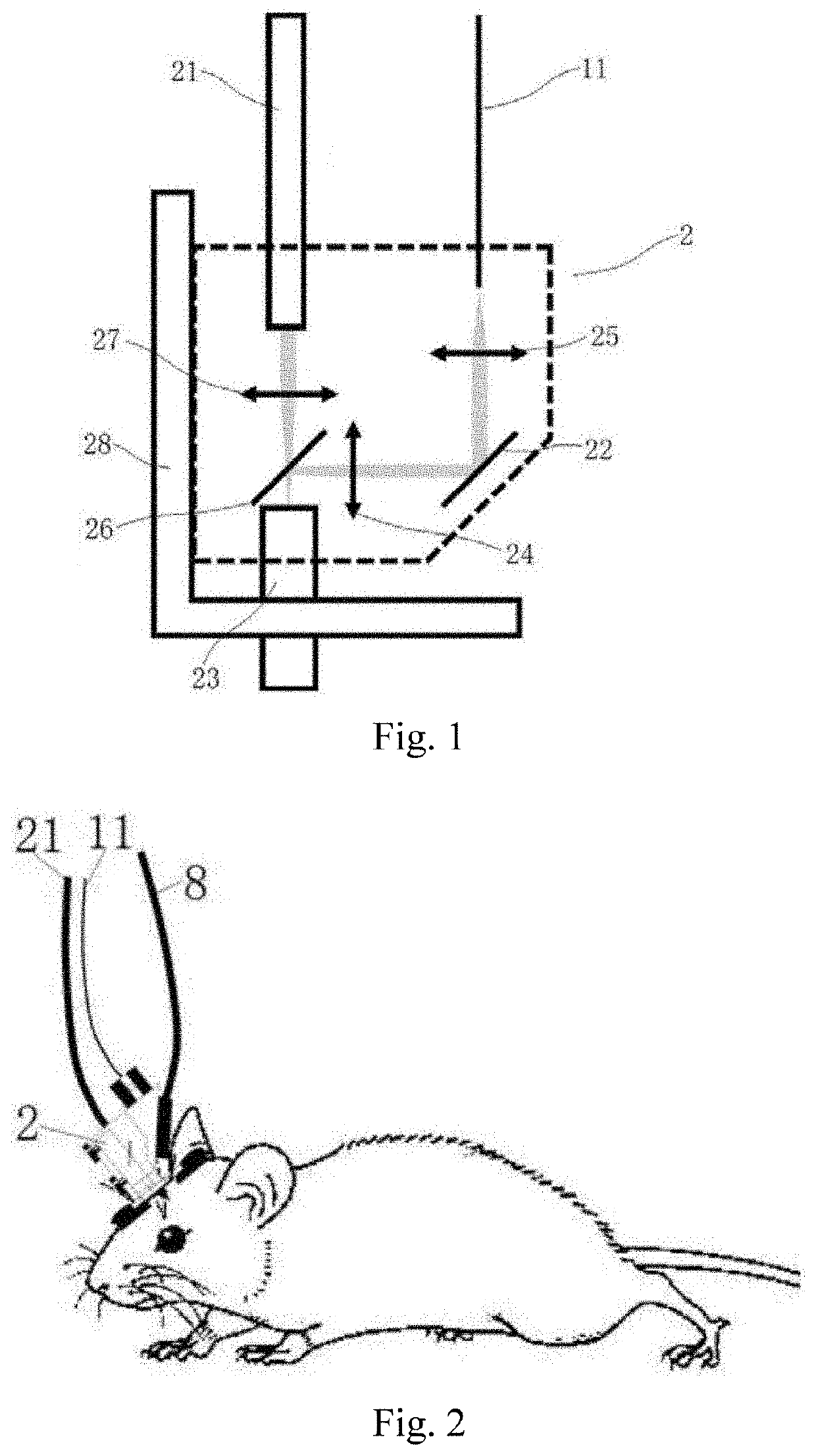 Femtosecond pulse laser modulator and miniature two-photon microscopic imaging device