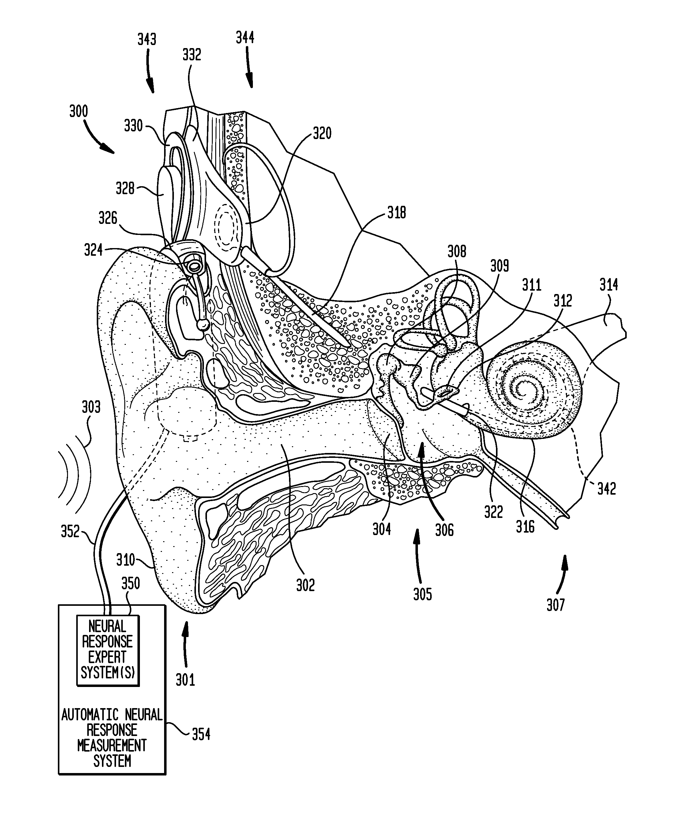 Automatic measurement of an evoked neural response concurrent with an indication of a psychophysics reaction