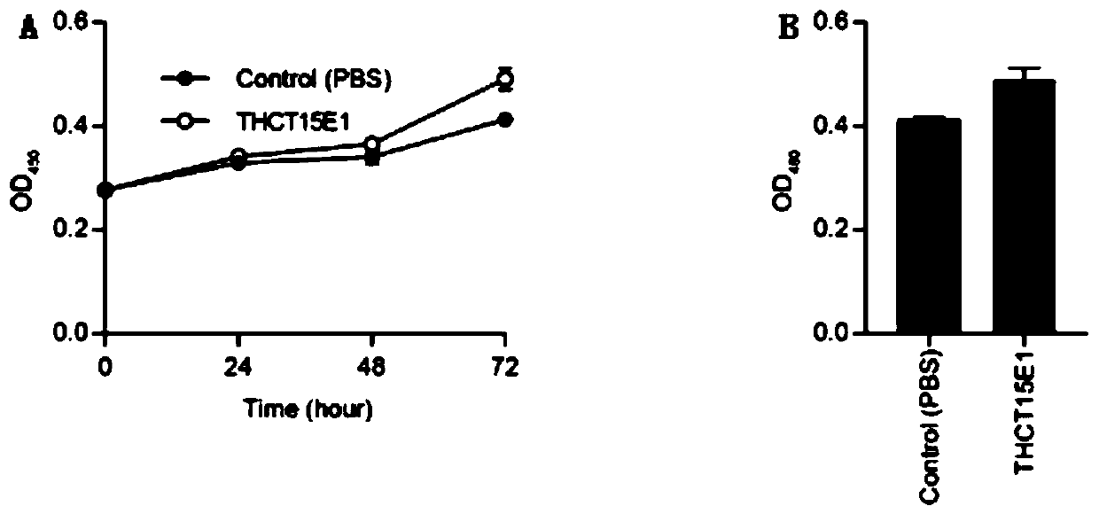 Fusobacterium nucleatum polymorphic subspecies isolate and application thereof