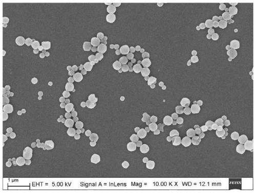 Composite nano microsphere with rapid mucus permeation effect as well as preparation method and application of composite nano microsphere