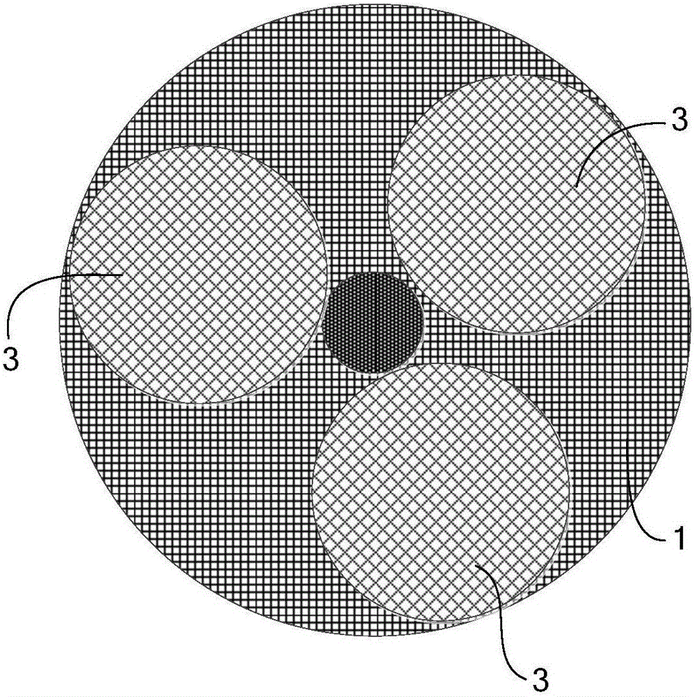 Rapid chip polishing device and method