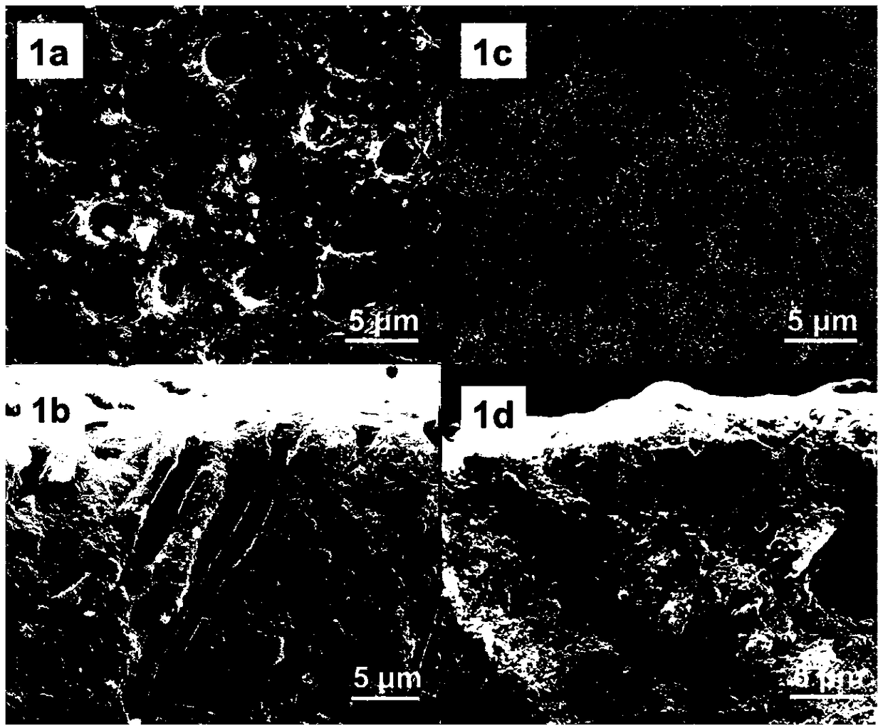 Bionic mineralized repairing desensitizer