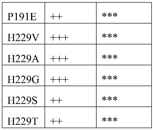 Amino acid dehydrogenase mutant and application thereof