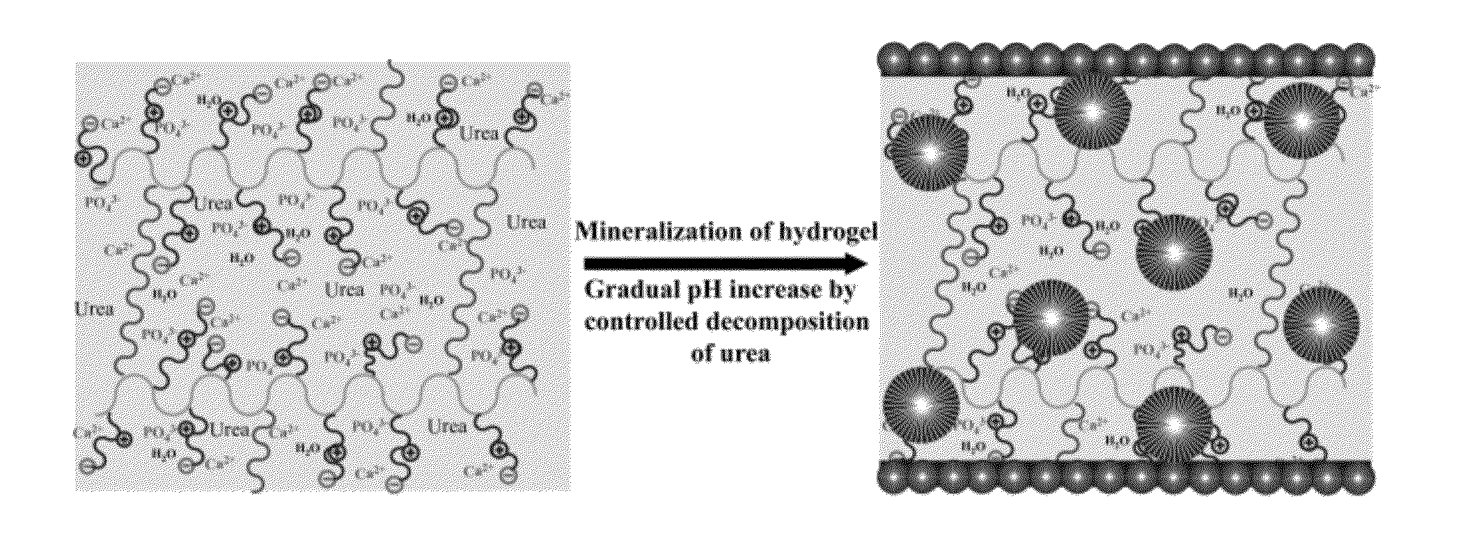 Compositions and methods for templating three-dimensional mineralization